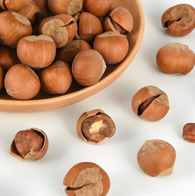Roasted Chestnut